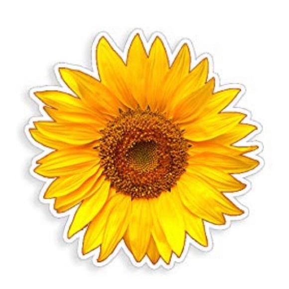 Meet your Posher, Meg - Picture 1 of 1